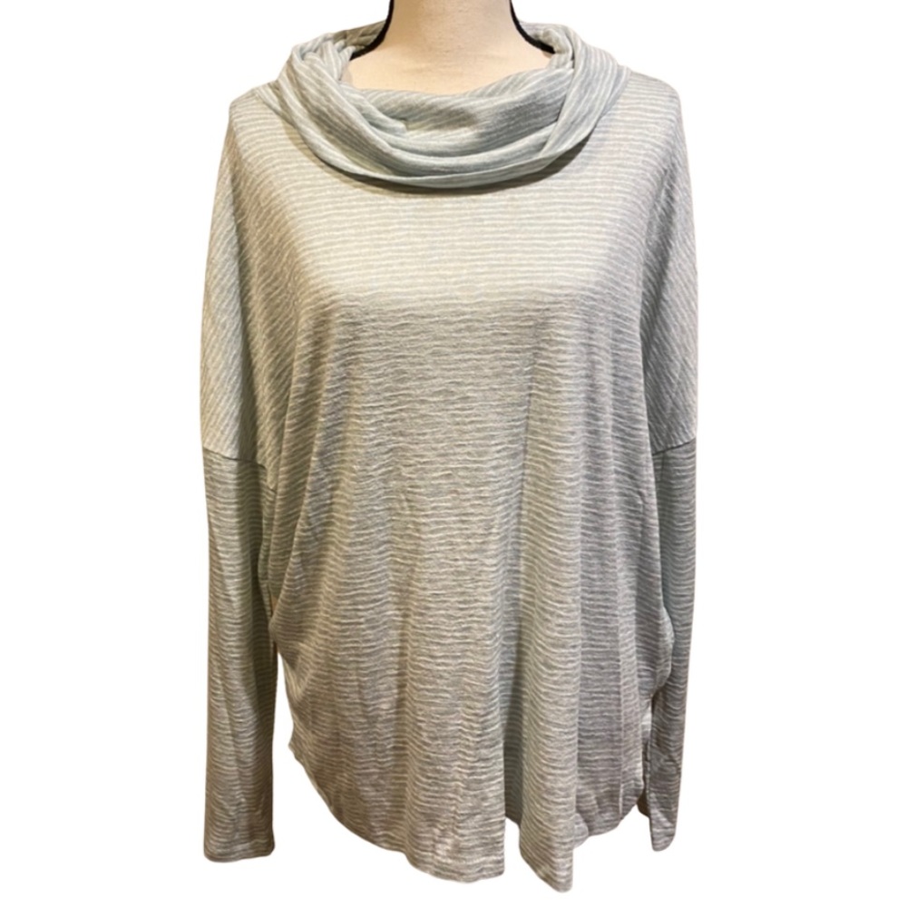 Caslon Blue Turtleneck Striped Pullover Sweater